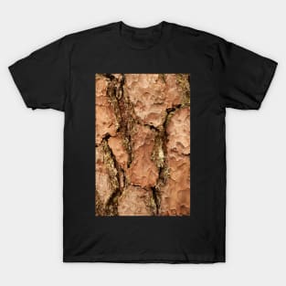 Brown golden cracked tree T-Shirt